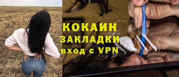стаф Михайлов