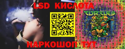 крисы Краснокаменск