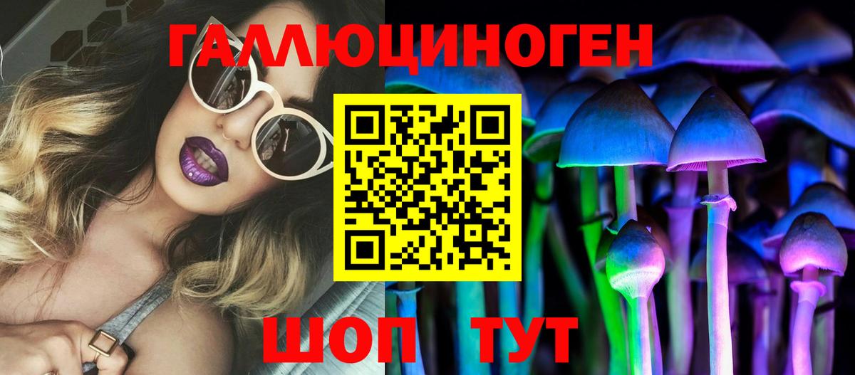 Псилоцибиновые грибы Psilocybine cubensis  Вход с VPN  Саянск 