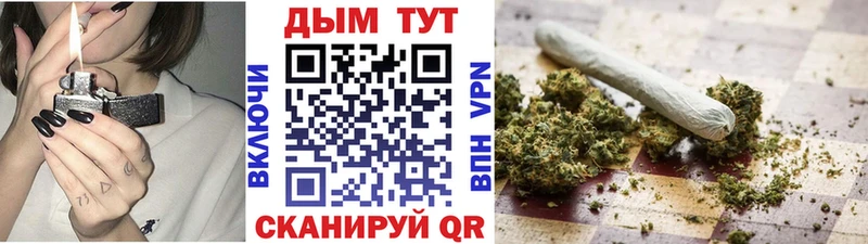 Каннабис сатива  продажа наркотиков  Саянск 